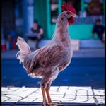William Ritchie - @williamritchiephotograph - Instagram