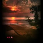 Willie rosa - @william.braun.313371 - Instagram