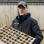 William Roth - @willsbonsai - Instagram
