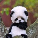 Willie Rubio - @willie.rubio007 - Instagram