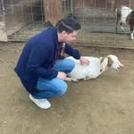 Will Schaffer - @willl_s - Instagram