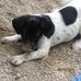 Willie Schmidt - Facebook