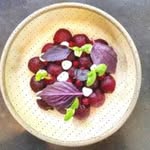 Willie Schultz - @ankewenger735 - Instagram