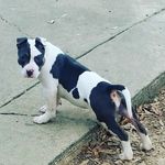 Willie Seals - @seals_willie - Instagram