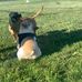 Willie Serrano Field - Facebook