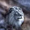 willieshaffer371 - @willieshaffer371 - TikTok