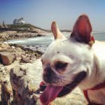 Willie Shortround - @willie_short_round - Instagram
