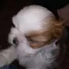 williesilas0 - @williesilas0 - TikTok