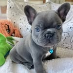 William silver - @williamsilver675 - Instagram