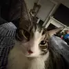 Willie_sinclair13 - @willie_sinclair13 - TikTok