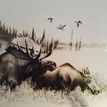 Willie Small - @small_willie - Instagram