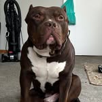 Willie Smoot - @williesmoot42 - Instagram