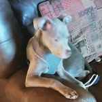 willie - @smootwillie - Instagram