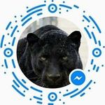 Willie Sneed - @willie.sneed.1708_ - Instagram