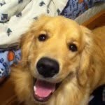 willie_soltis - @willie_soltis - Instagram