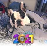 Willie Starr Estrella - @willie_starr28 - Instagram