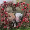 William J. Stembridge - @william.j..stembri - TikTok