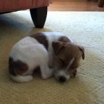 Willie Stone - @willardstone - Instagram