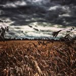 Willie Stuart - @mindtinphia - Instagram
