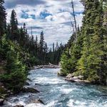 Willie Thompson - @williethomson12255 - Instagram