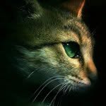 @willie_wang - Instagram