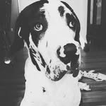 Willie Wayne Nelson - @nelsonwiththespots - Instagram