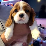 Willie - @willie_wayne_ - Instagram