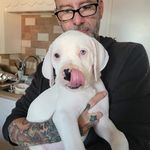 William Weber - @william.weber.mutinytattoo - Instagram