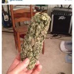 Willie "Ganja" Weed - @willsweedstlye - Instagram
