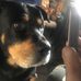 Willy Went - Facebook