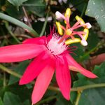 Willie Werner - @williewerner2016 - Instagram