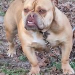 Mceb Whaley - @mceb_willie_whaley - Instagram