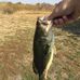 Will Whitlock - Facebook