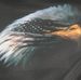 Willie Winn - Facebook