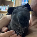 Willie de Witt - @wittwilliede - Instagram