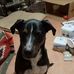 Willie Wolff - Facebook