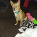 Willie Woo Woo - Facebook