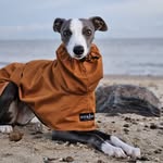 Willow - @willie_woo_adventures - Instagram