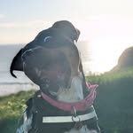 willow - @williewoo.willow - Instagram