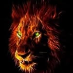 Willie Woodruff - @willie.woodruff.5 - Instagram