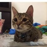 Willie yao - @nuivear_ - Instagram