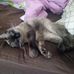 Willis Anderson - Facebook