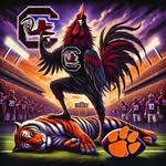 Willis Anderson - @gamecockfan2001 - Instagram
