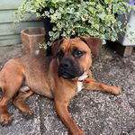 Buddy Willis Arnold - @diaryofhappybuddy - Instagram