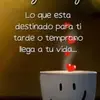 willisblancogonza - @willisblancogonza - TikTok