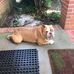 Willis Boykin - Facebook