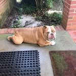 Willis Boykin - @boykin4833 - Instagram