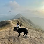 Willis Chan - @williscyy - Instagram