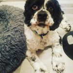 Bertie Willis Cox - @bertiewilliscox - Instagram
