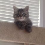 Wobbles Willis Cox - @wobbles.w.cox - Instagram